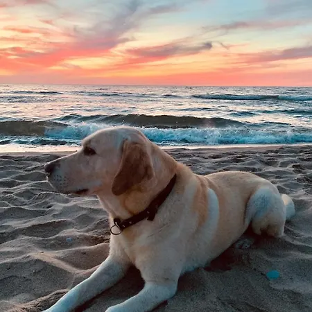 Baltic 51 - Sunny Side Baltic * Trzęsacz