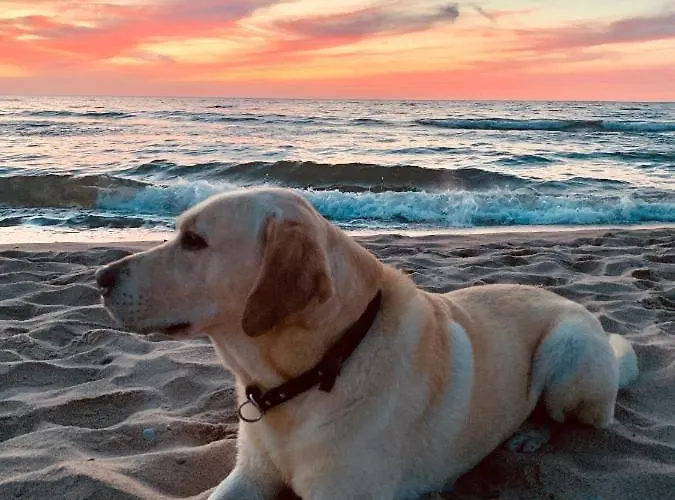 Baltic 51 - Sunny Side Baltic * Trzęsacz